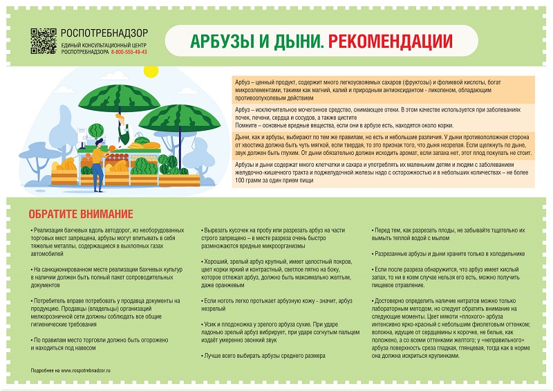 арбузы, дыни, рекомендации по выбору, арбуз, дыня, выбор, рекомендации по выбору арбузов и дынь, как правильно выбрать арбуз, дыню, Роспотребнадзор арбузы, дыни, рекомендации по выбору, арбуз, дыня, выбор, рекомендации по выбору арбузов и дынь, как правильно выбрать арбуз, дыню, Роспотребнадзор